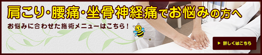 肩こり・腰痛・坐骨神経痛でお悩みの方へ